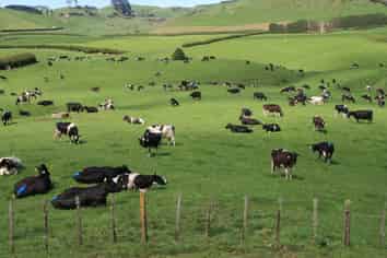 734 Bird Road, Pukengahu