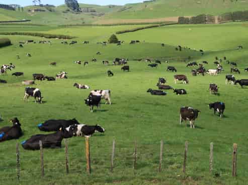 734 Bird Road, Pukengahu