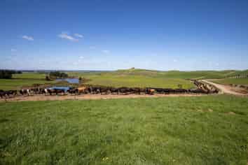 145 Aitkens Road, Hororata