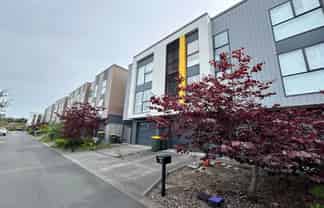 16 Charles Heaphy Lane, Stonefields
