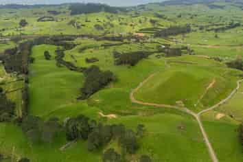 Lot 1 - 47 Purangi Road, Cooks Beach