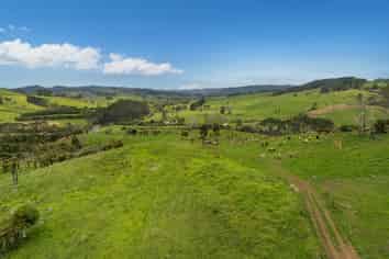 Lot 1 - 47 Purangi Road, Cooks Beach