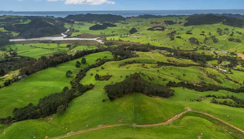 Lot 1/471 Purangi Road, Cooks Beach