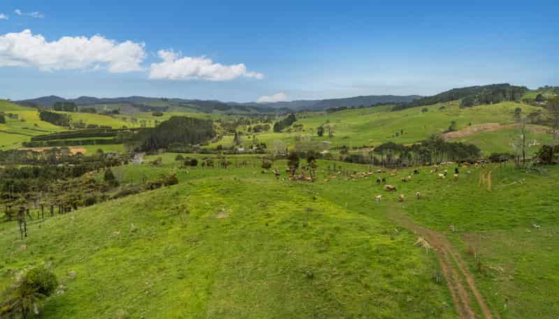 Lot 1/471 Purangi Road, Cooks Beach