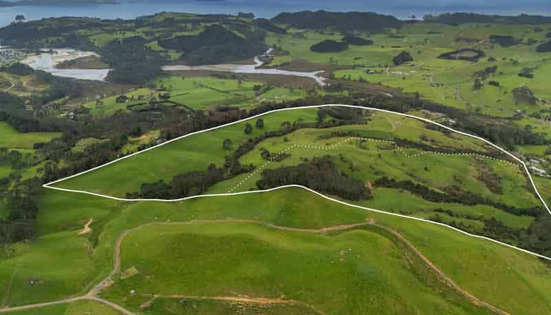 Lot 1/471 Purangi Road, Cooks Beach