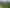 1 Bells Bush Road and Sinclair Road, Waihola