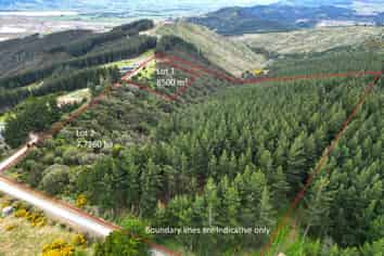 1 Bells Bush Road and Sinclair Road, Waihola