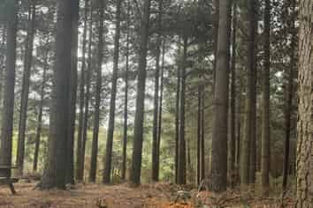 1 Bells Bush Road and Sinclair Road, Waihola
