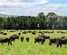 307 Okapua Road, Gore Surrounds, Gore, Southland