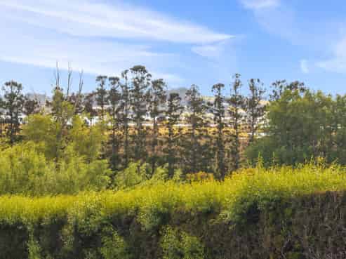102 Avocado Lane, Mangawhai