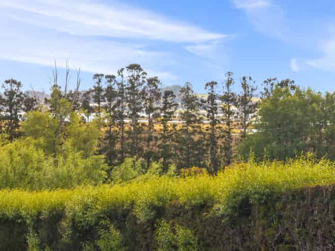 102 Avocado Lane, Mangawhai