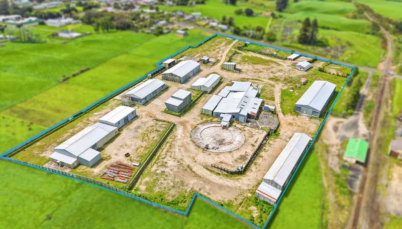 34 Oturi Road, Waverley