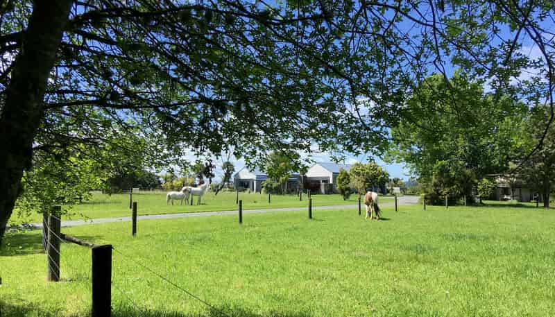 436 Kapiro Road, Kerikeri