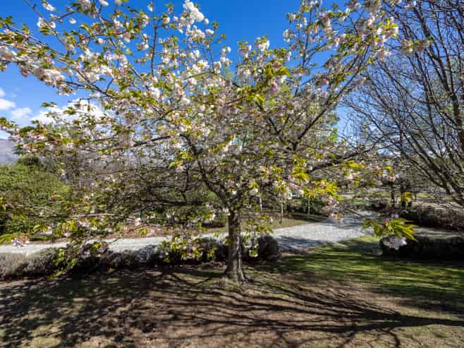 5 Cottonwood Lane, Wanaka