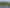 195B Tuapiro Road, Katikati
