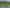 195B Tuapiro Road, Katikati