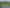 195B Tuapiro Road, Katikati