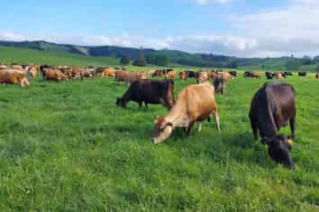 3308 State Highway 1, Hukerenui