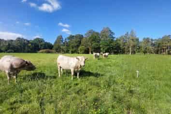 3308 State Highway 1, Hukerenui