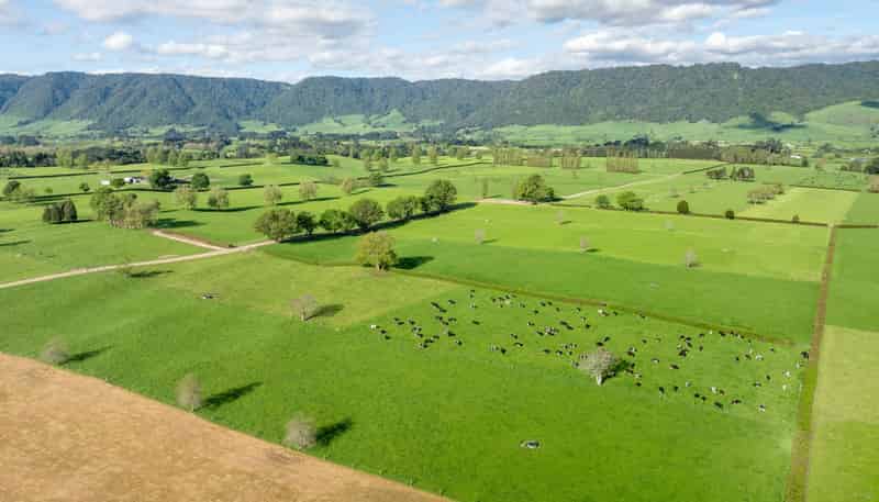 72 and 82 Harding Road, Matamata