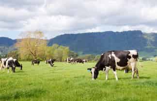 72 and 82 Harding Road, Matamata