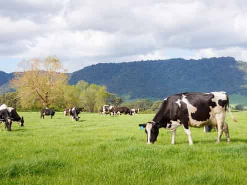 72 and 82 Harding Road, Matamata