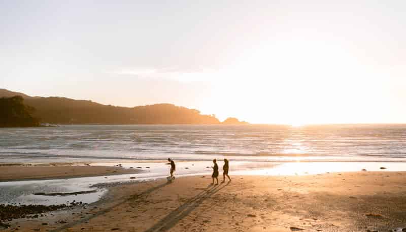 5 Mulberry Grove Road, Great Barrier Island