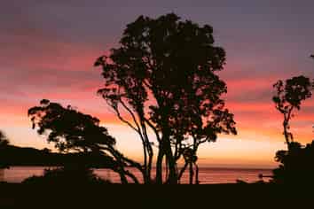 11 Mulberry Grove Road, Great Barrier Island