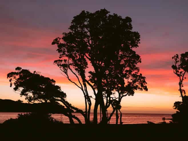 11 Mulberry Grove Road, Great Barrier Island