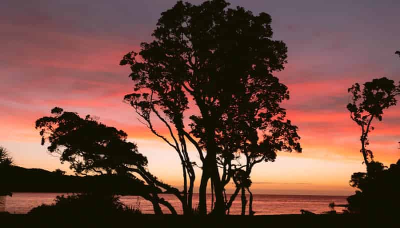 11 Mulberry Grove Road, Great Barrier Island