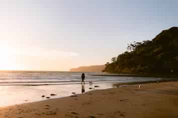 11 Mulberry Grove Road, Great Barrier Island