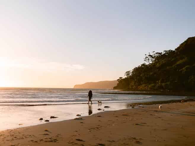11 Mulberry Grove Road, Great Barrier Island