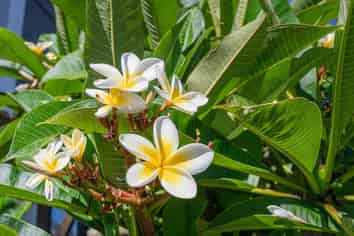 2 Dorsal Close, Marlin Waters, Whitianga