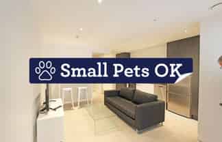 313/147 Nelson Street, Auckland Central