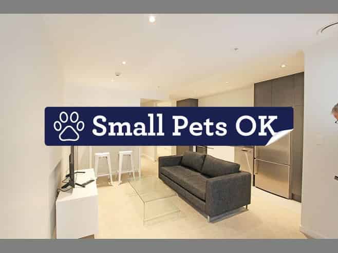 313/147 Nelson Street, Auckland Central