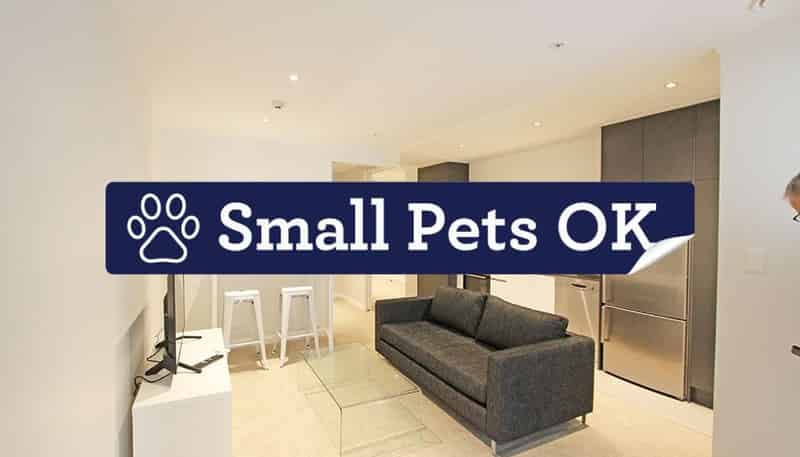 313/147 Nelson Street, Auckland Central