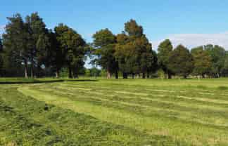 273b Diversion Road, Featherston