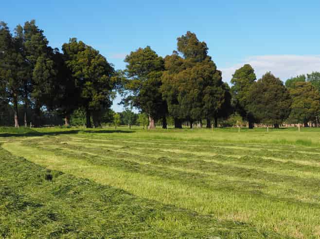 273b Diversion Road, Featherston