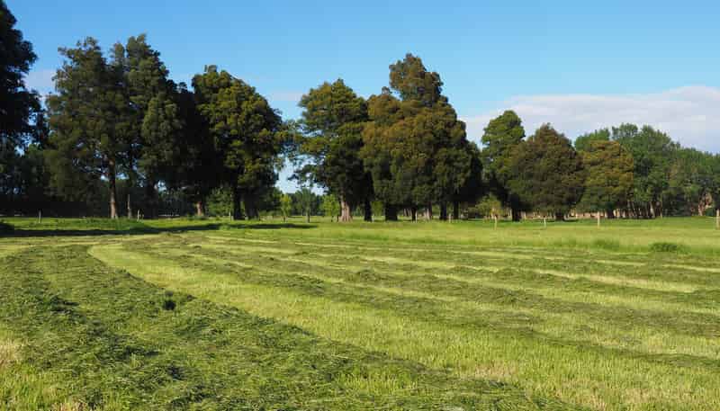 273b Diversion Road, Featherston