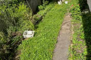 1/55A STAMFORD PARK RD, Mount Roskill