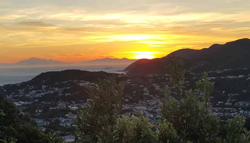 96 Buckley Road, Southgate