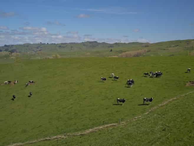 169 Owhakura Road, Taihape and Surrounds