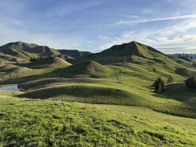 169 Owhakura Road, Taihape and Surrounds