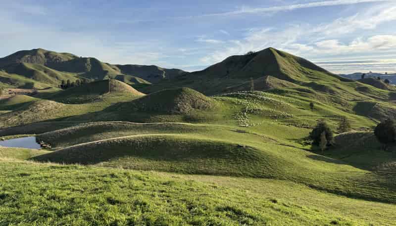 169 Owhakura Road, Taihape and Surrounds