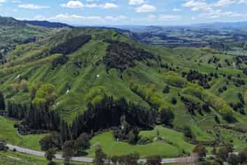 6714 State Highway 1, Mangaweka