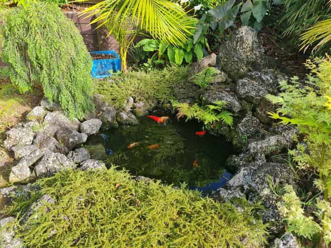 51 Chateau Rise, Flat Bush