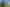 Auckland - Address withheld