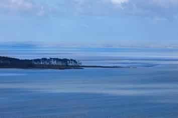 366A Hillsborough Road, Hillsborough