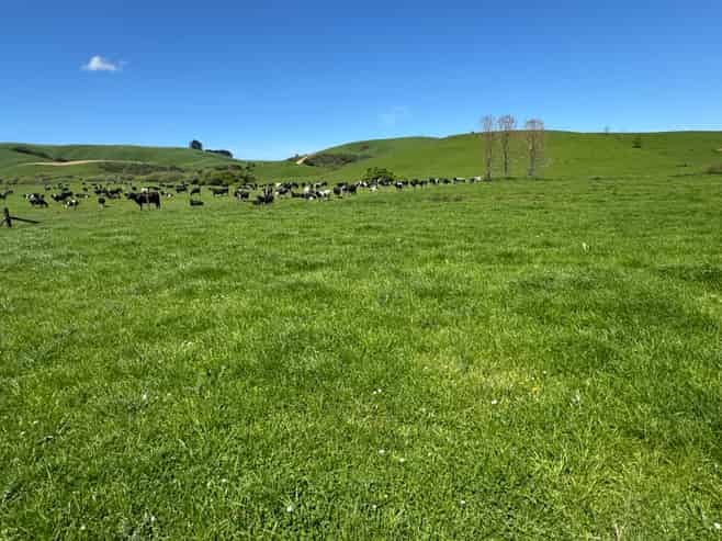 1209 SHWY 3 Otorohanga Road, Otorohanga