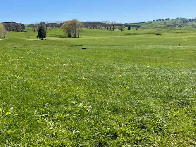 135 Whataroa Road, Te Kuiti